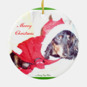 Kerstminiatuur Dashcund-sierplanten - Elf Keramisch Ornament (Achterkant)