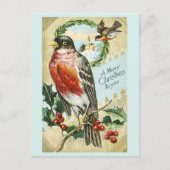 Kerstmis 1908 Robin op Hulsttak Briefkaart (Voorkant)