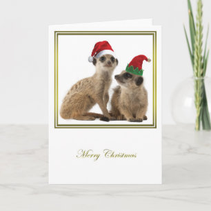 Kerstmis 1 van Meerkat Feestdagen Kaart