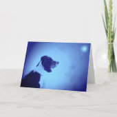 Kerstmis 2005 feestdagen kaart (Voorkant)