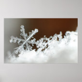 Kerstmis 2009 poster (Voorkant)