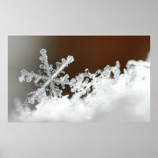 Kerstmis 2009 poster