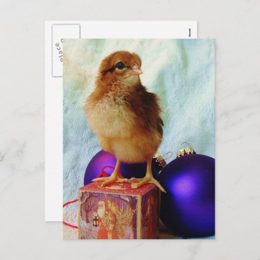 Kerstmis 2 feestdagenkaart (Voorkant / Achterkant)