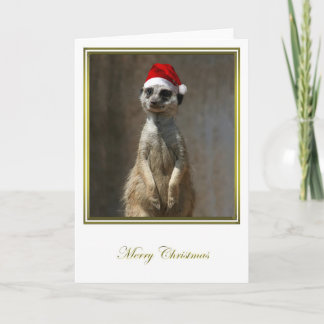 Kerstmis 2 van Meerkat Feestdagen Kaart