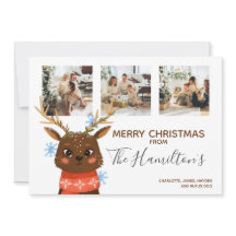 Kerstmis 3 Speciaal rendieronderzoek