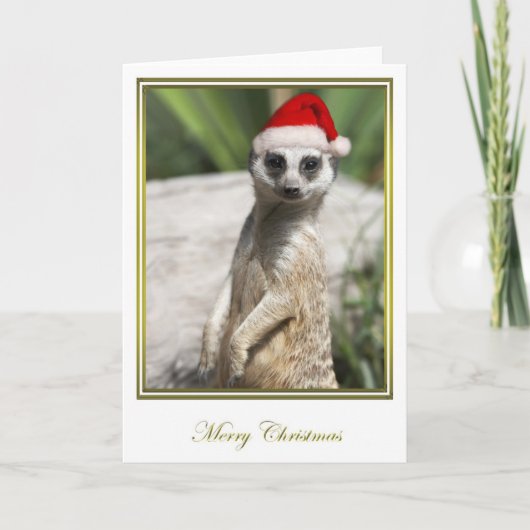 Kerstmis 4 van Meerkat Feestdagen Kaart (Voorkant)