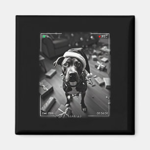 Kerstmis American Staffordshire Terrier Betrapt Op Magneet