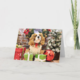 Kerstmis - Arrogante Koning Charles Spaniel Feestdagen Kaart