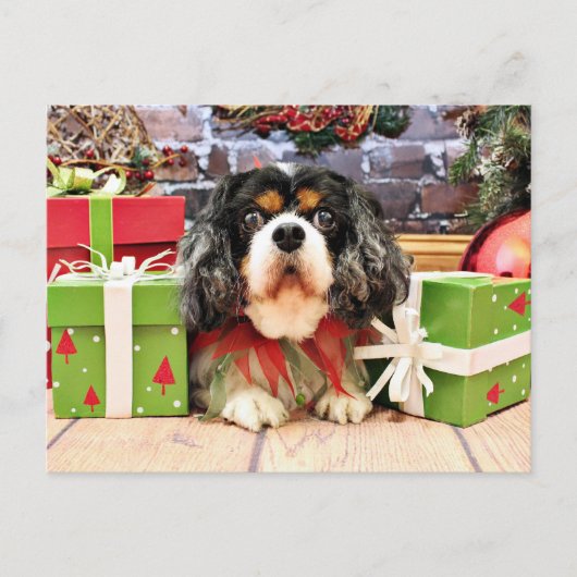Kerstmis - Arrogante Koning Charles Spaniel - nam Feestdagenkaart (Voorkant)