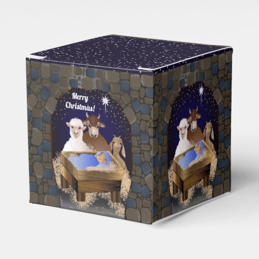 Kerstmis Baby Jesus Bedankdoosjes (Voorkant Zijde)