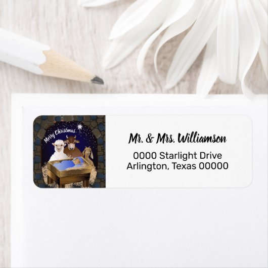 Kerstmis Baby Jesus Etiket (Insitu)