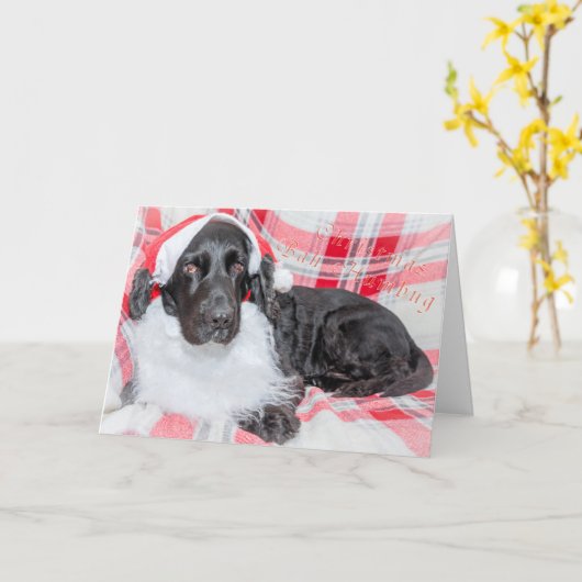 Kerstmis Bah Humbug Kaart (Gele Bloem)