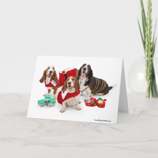 Kerstmis basset hond feestdagen kaart (Voorkant)