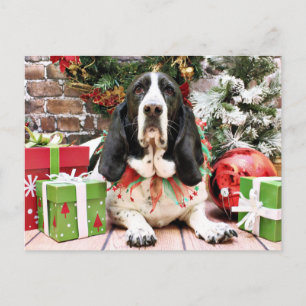 Kerstmis - Basset Hound - Jasmine Feestdagenkaart