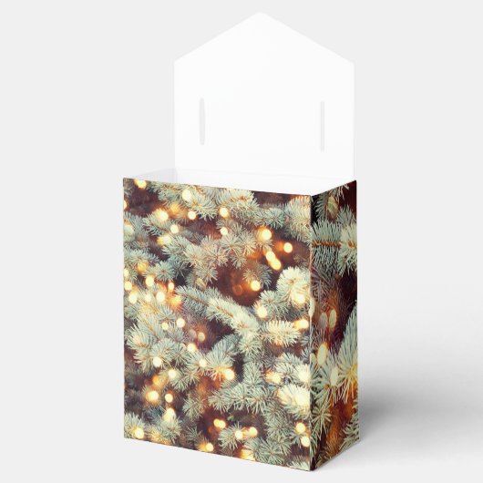 Kerstmis Bedankdoosjes (Geopend)