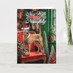 Kerstmis Belgische Malinois Hond Ondeugend of Nice Feestdagen Kaart