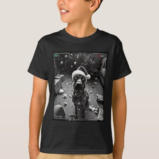 Kerstmis Belgische Malinois Vangen Op Camera T-shirt (Voorkant)