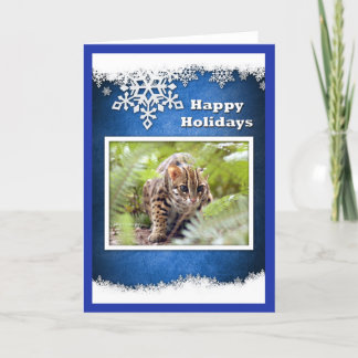 Kerstmis-Bengalen-kat-12 Feestdagen Kaart
