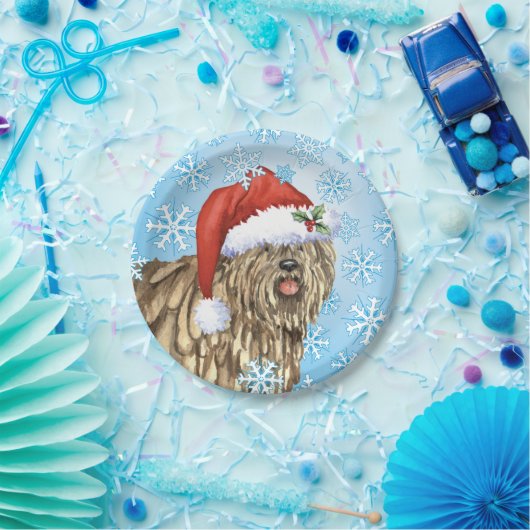 Kerstmis Bergamasco Papieren Bordje (Feest)