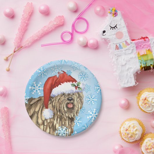 Kerstmis Bergamasco Papieren Bordje (Feest)