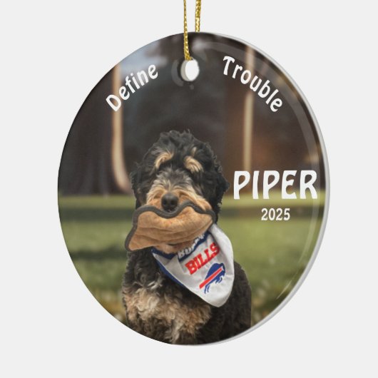 Kerstmis Berghond Foto Ornament (Links)