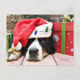 Kerstmis - Bernese Mountain Dog - Mya Feestdagenkaart