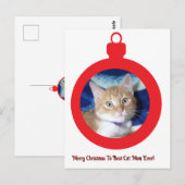 Kerstmis, Beste Kattenmoeder Ooit , Briefkaart (Voorkant / Achterkant)
