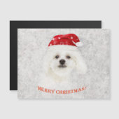 Kerstmis Bevroren Maltezer puppy (Voorkant / Achterkant)