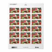 Kerstmis - Bichon Frise - Daisy Etiket (Full Sheet)
