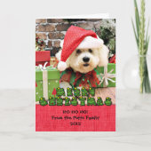 Kerstmis - Bichon Frise - Daisy Feestdagen Kaart (Voorkant)