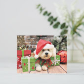 Kerstmis - Bichon Frise - Daisy Feestdagenkaart (Staand voorkant)