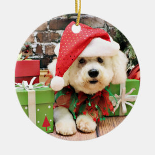 Kerstmis - Bichon Frise - Daisy Keramisch Ornament