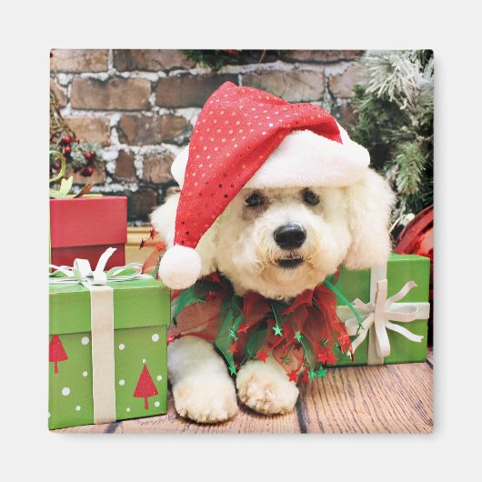 Kerstmis - Bichon Frise - Daisy Magneet (Voorkant)