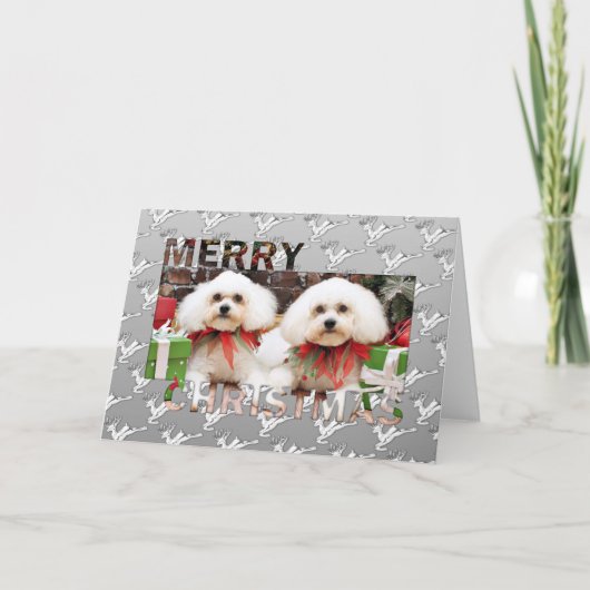 Kerstmis - Bichon Frise - Harry en Hermie Feestdagen Kaart (Voorkant)