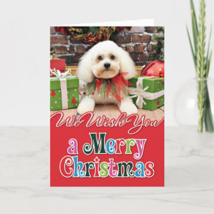 Kerstmis - Bichon Frise - Harry Feestdagen Kaart