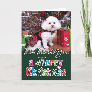 Kerstmis - Bichon Frise - Mia Feestdagen Kaart