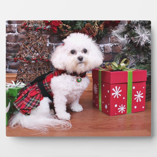 Kerstmis - Bichon Frise - Mia Fotoplaat (Voorkant)