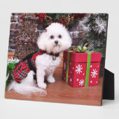 Kerstmis - Bichon Frise - Mia Fotoplaat (Zijkant)