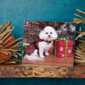 Kerstmis - Bichon Frise - Mia Fotoplaat (Zijkant)