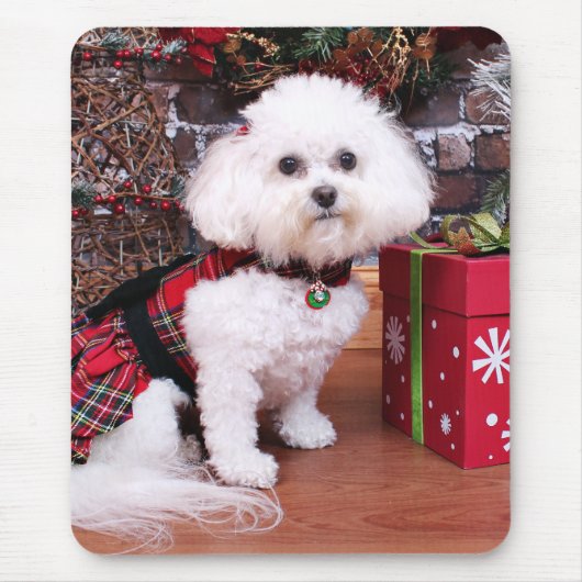 Kerstmis - Bichon Frise - Mia Muismat (Voorkant)