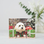 Kerstmis - Bichon Frise X - Bella Feestdagenkaart (Staand voorkant)