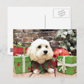Kerstmis - Bichon Frise X - Bella Feestdagenkaart (Voorkant / Achterkant)