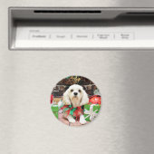 Kerstmis - Bichon Frise X - Maya Magneet (Insitu (Vaatwasser))