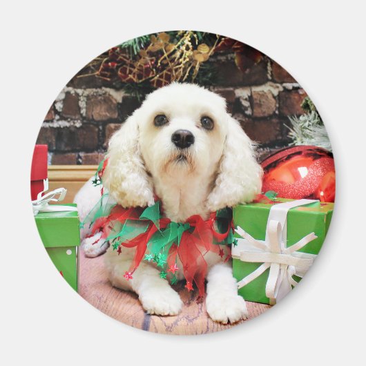 Kerstmis - Bichon Frise X - Maya Magneet (Voorkant)