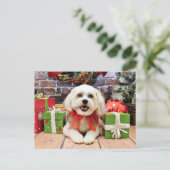 Kerstmis - Bichon X - Bella Feestdagenkaart (Staand voorkant)