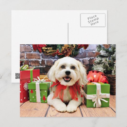 Kerstmis - Bichon X - Bella Feestdagenkaart (Voorkant / Achterkant)