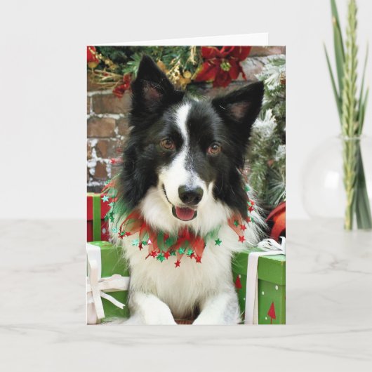 Kerstmis - Border collie - Jessup Feestdagen Kaart (Voorkant)