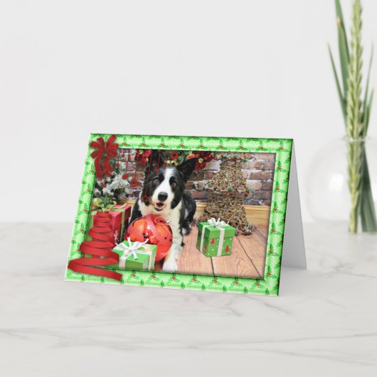 Kerstmis - Border collie - Yaeger Feestdagen Kaart (Voorkant)