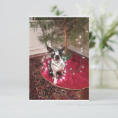 Kerstmis Boston Terrier Dolly kaart (Staand voorkant)