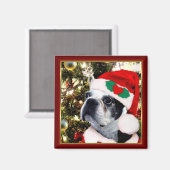 Kerstmis Boston terriër Magneet (Voorkant / Achterkant)